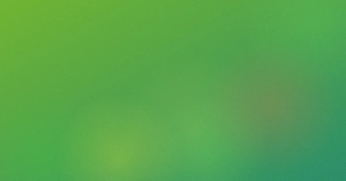 逼照测评：这些坑别踩